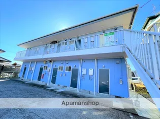 オリーブの画像