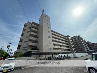 パストラル柳丸IIの画像