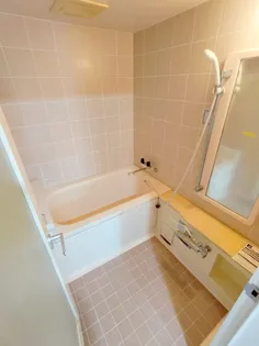 サーパス中央公園【903号室】の風呂