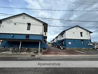 シンシアンの画像