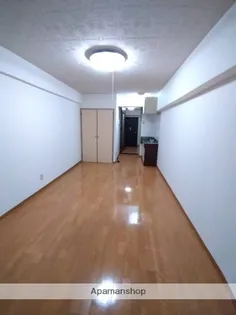 オーブⅡ【203号室】の内装