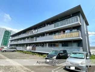 サルヴァトーレ吉村の画像