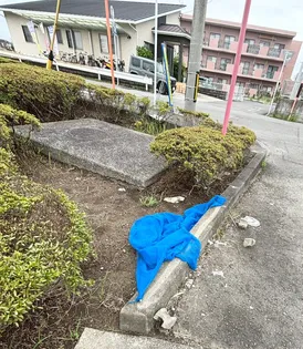 ピュアコート【101号室】のその他画像