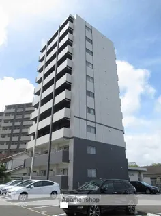 プログランツの画像