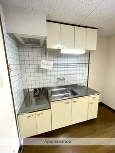 サンライズカワサキ【A303号室】のキッチン