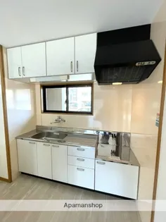 プレシャスライフ【101号室】のキッチン