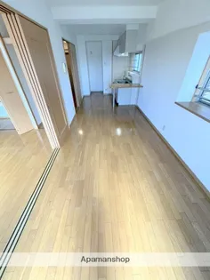 フレスコ和【401号室】の内装