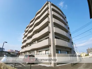 プレシャスコートの画像