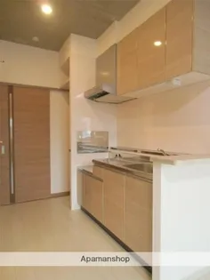 バンベール鶴島【203号室】のキッチン