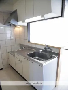 パークサイド城ヶ崎【3階】のキッチン