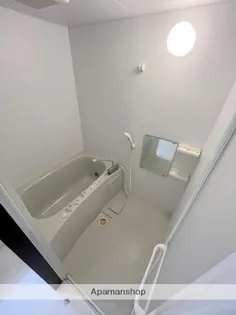 パークサイド城ヶ崎【3階】の風呂