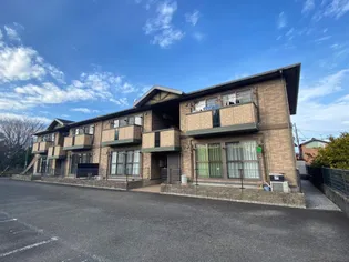 フモト ブラッサムIIIの画像