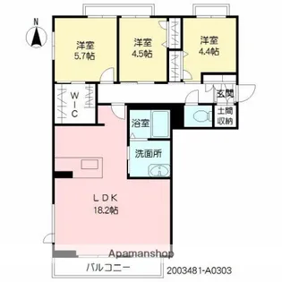 アンビエラ柳丸【303号室】の間取り