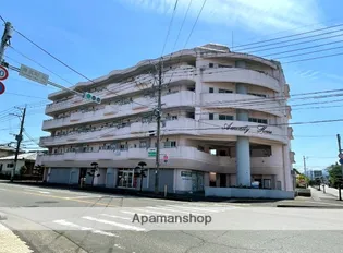 アメニティハウス(清武)【407号室】の外観