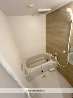 ヒカオオリエントマンション南館【2階】の風呂