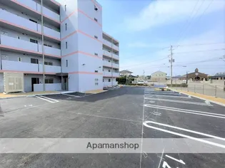 ピーチフローレ6TH【502号室】のその他画像