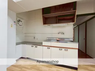 ダイニマンション江平【503号室】のキッチン