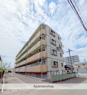 西都フェニックスMの画像