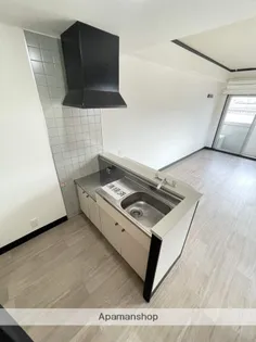 エレガンス11【2階】のキッチン