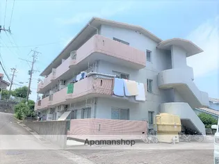 キタ月見Ⅱの画像