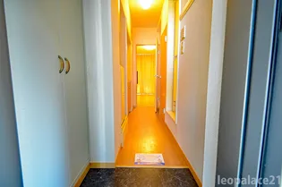 レオパレスラビホワ23【302号室】の玄関