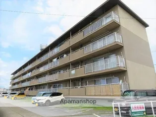 サルヴァトーレ花ヶ島の画像