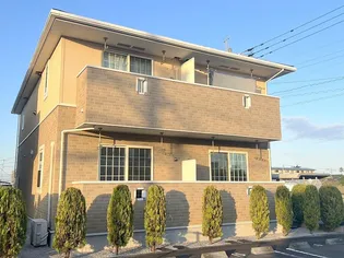 フィデール Kの画像