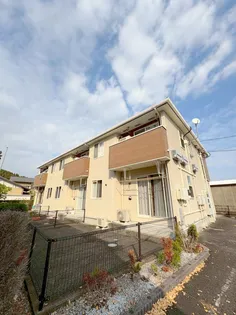 プリムローズの画像