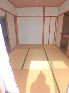 オクタワーズ宮崎南【501号室】の内装