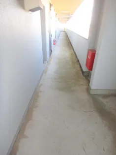 オクタワーズ宮崎南【501号室】のその他画像