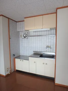 オクタワーズ宮崎南【501号室】のキッチン