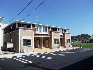 アバンダント ライフ Cの画像