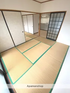 日神パレステージ宮崎【402号室】の居間