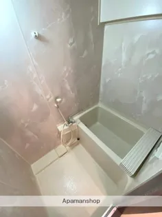 日神パレステージ宮崎【402号室】の風呂