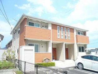 キング フィッシャーの画像