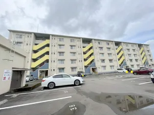 サンコーポラス高岡1棟【505号室】の外観