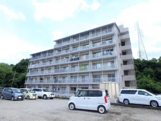 レジデンス17番館【5階】の外観