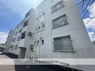 ナーシェルの画像