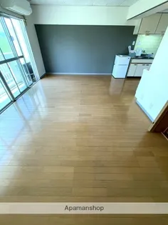 サンケイマンション第1ビル【2階】の居間