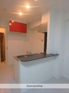 CALIFORNIA APT【808号室】の内装