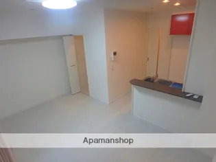 CALIFORNIA APT【808号室】の居間