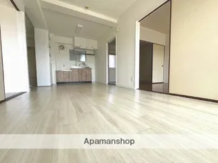 グランドヴィレッジ田吉【402号室】の内装