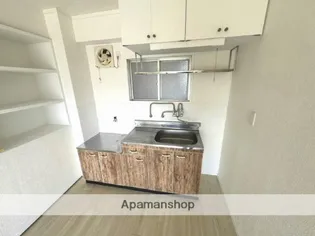 グランドヴィレッジ田吉【402号室】のキッチン