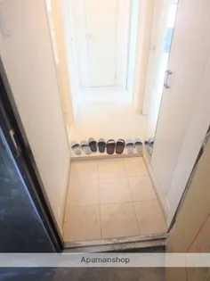 ヒカオオリエントマンション南館【4階】の玄関