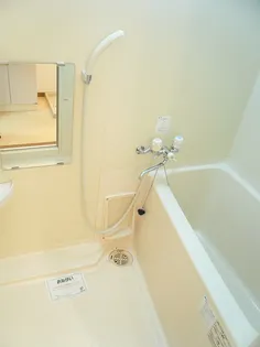 ラフィーナサイト2【3階】の風呂