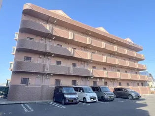 ラフィーナサイト2【3階】の外観