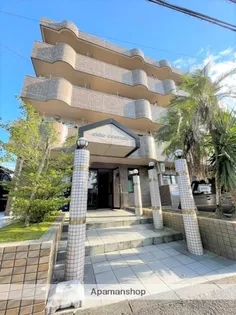 コスタ吉村の画像