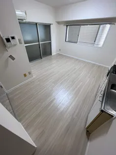 ルミナス松山【402号室】の内装