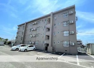 ムーンアフロヒルの画像