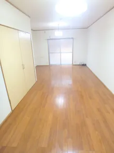 レジデンストピカ【Ⅱ102号室】の居間